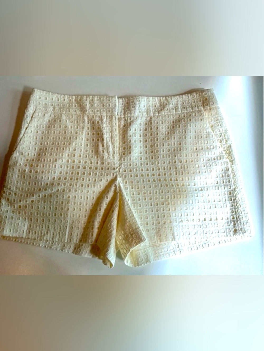 Ann Taylor NWOT Cream Eyelet Shorts Size 10 Fully Lined